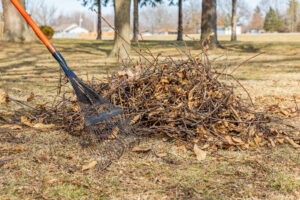 Clearing Brush in the Tri Cities TN Area