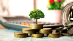 cost of tree services and budgeting