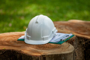 Professional safety helmet placed on stump