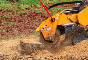 Close-up view of a tree trunk being ground down in the stump grinding process.