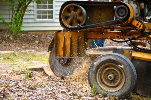 stump grinding using specialized stump grinder